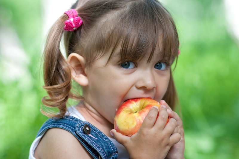 Nutrition Nutrition